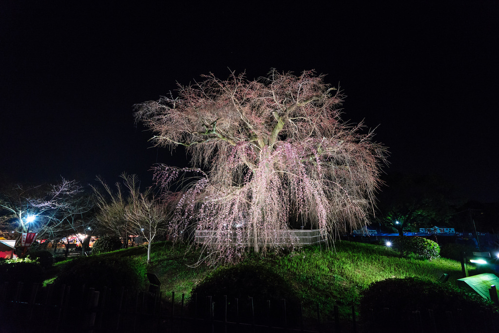 八坂神社