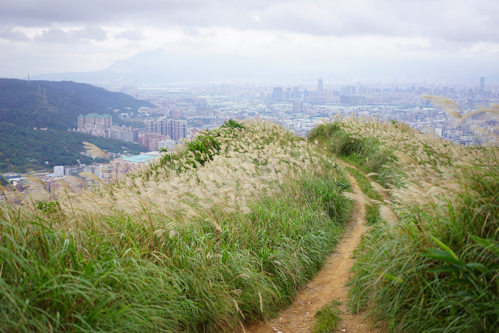 三角埔頂山