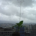 20110913-4.jpg