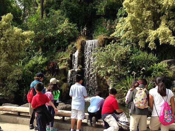 kids look at waterfall