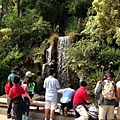 kids look at waterfall