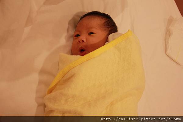 IMG_5519 IMG_5519