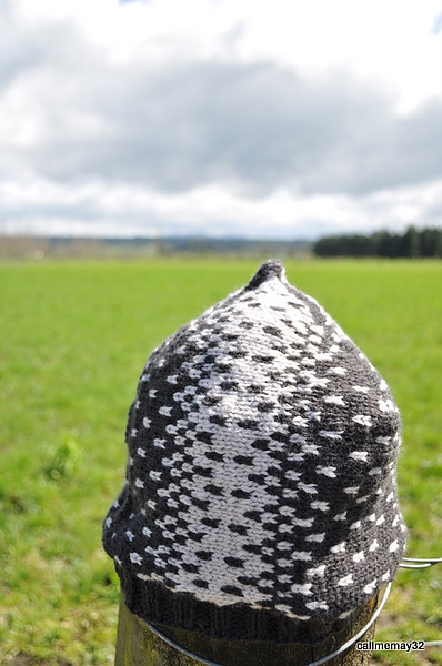 DSC_1059.JPG DSC_1059.JPG