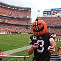 131013_Browns vs Lions football