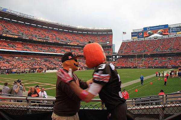 131013_Browns vs Lions football