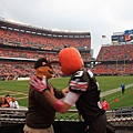 131013_Browns vs Lions football