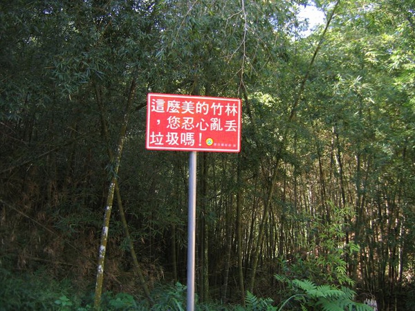 這麼美的竹林...警告牌這麼多
