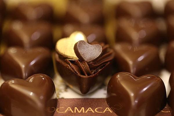 卡莫卡巧克力莊園 CAMACA CHOCOLATE