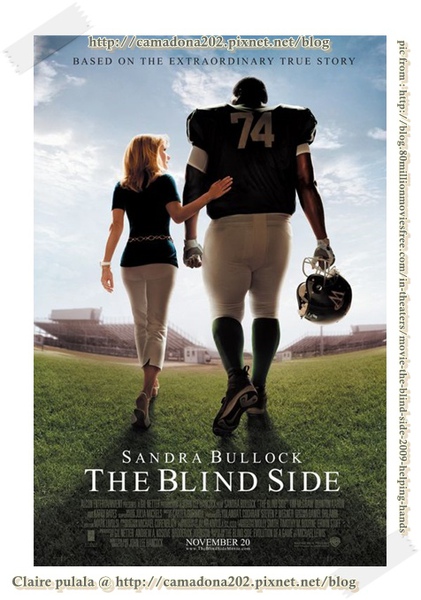 the-blind-side_290.jpg