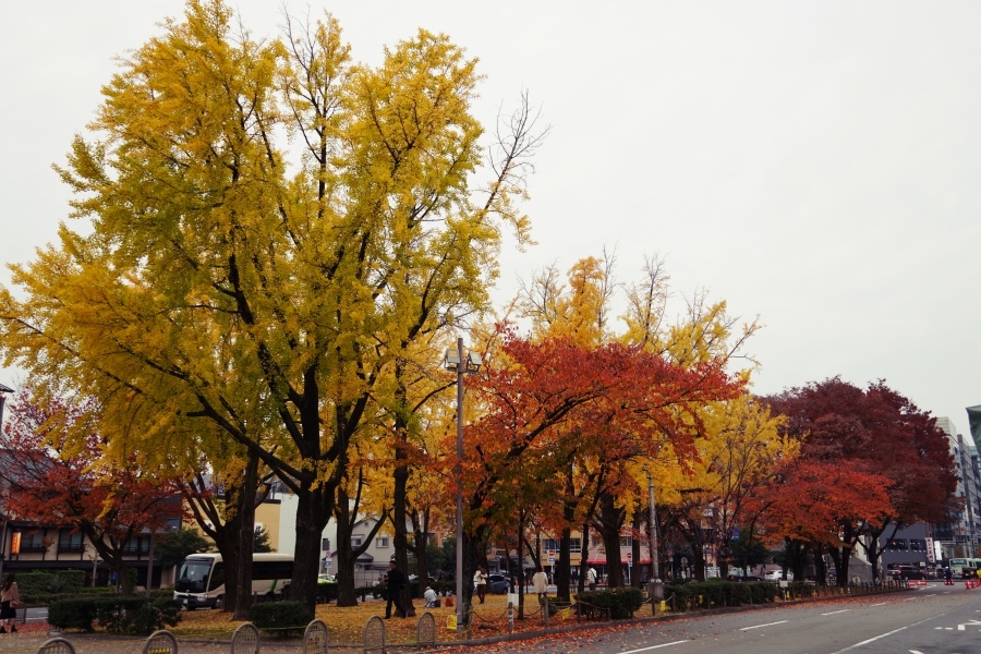 batch_都東本願寺10.JPG