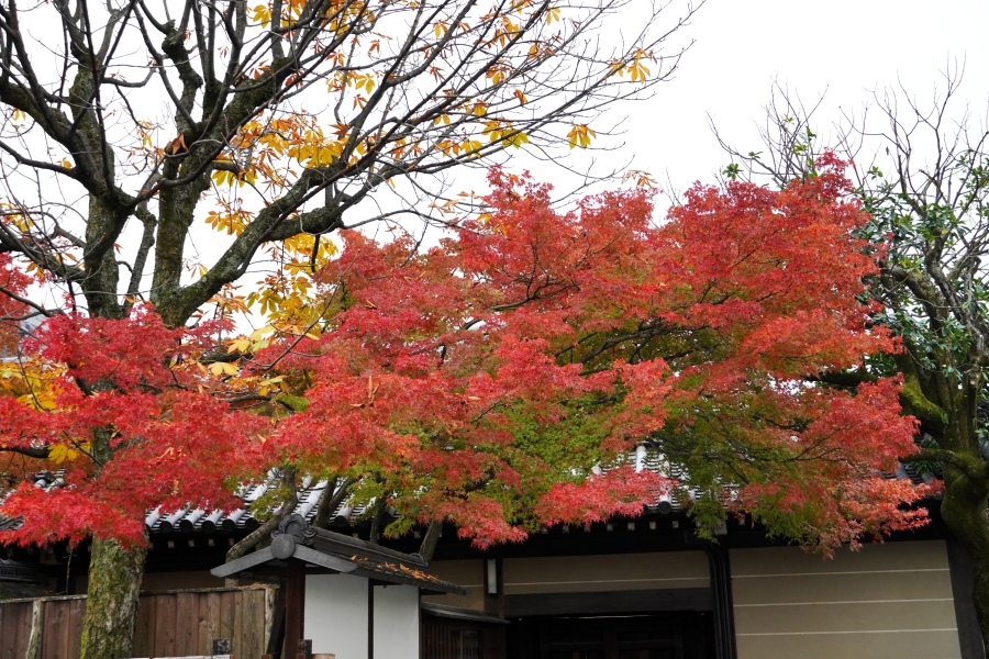 batch_西本願寺6.JPG