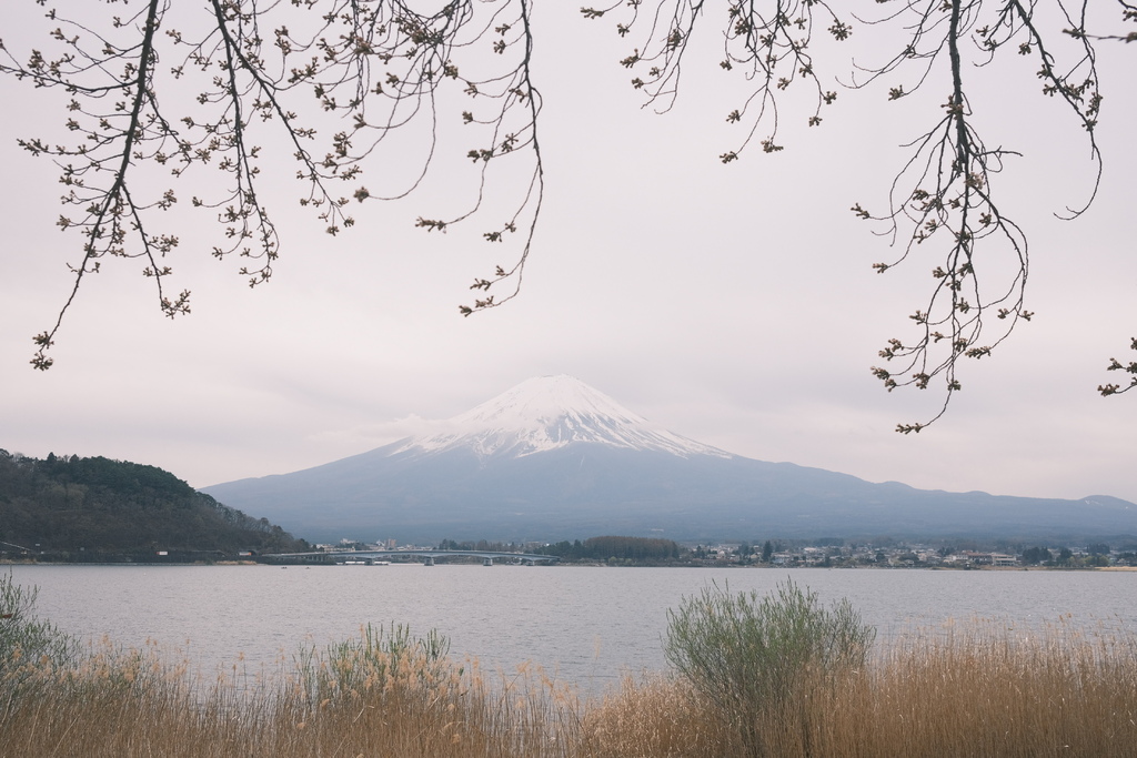 2023東京河口湖| 秀峰閤 湖月，河口湖沿岸最完美的逆富士