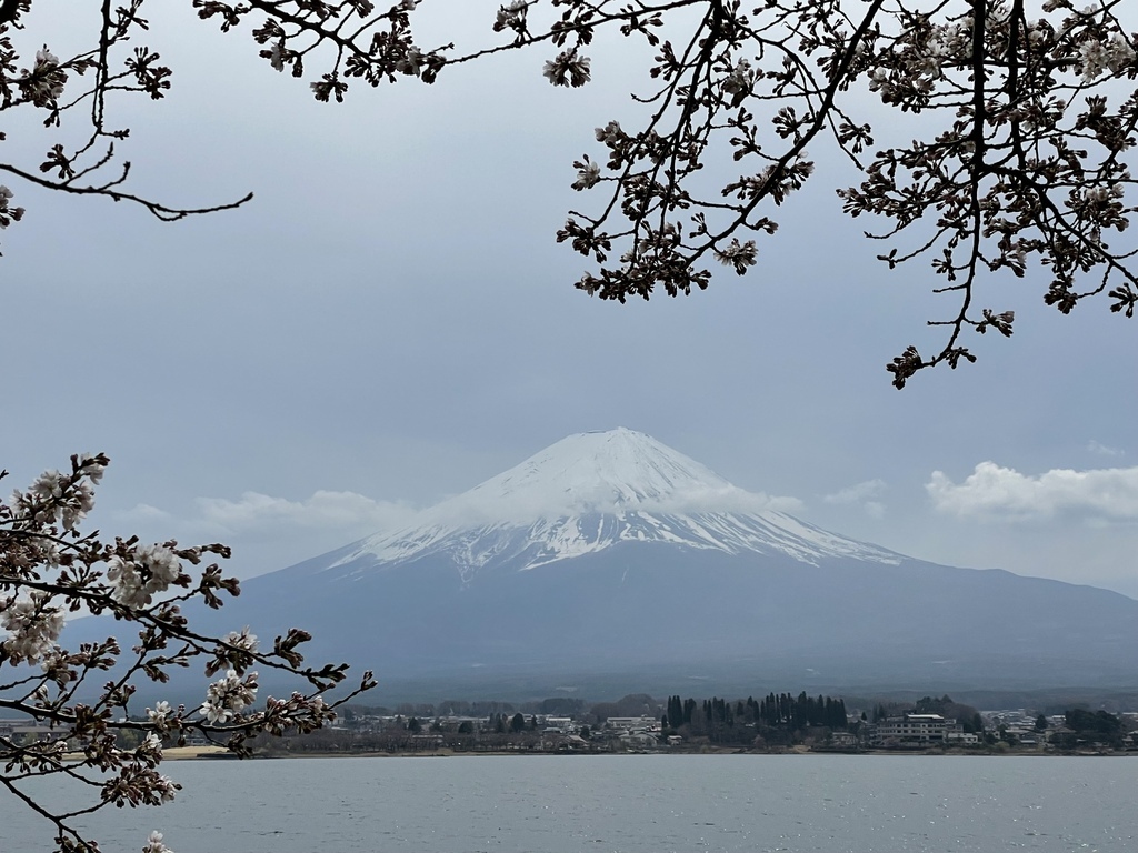 2023東京河口湖| 秀峰閤 湖月，河口湖沿岸最完美的逆富士