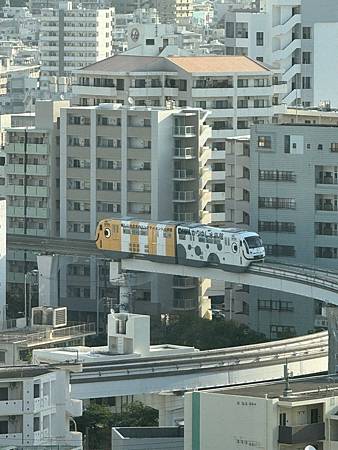 LINE_ALBUM_沖繩_240116_25.jpg