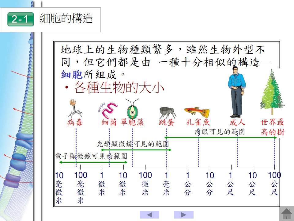 投影片2.JPG