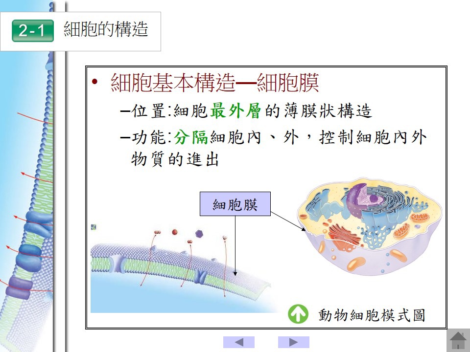 投影片13.JPG