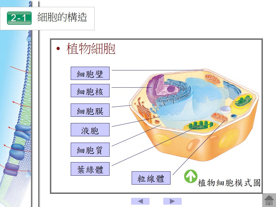 投影片12.JPG