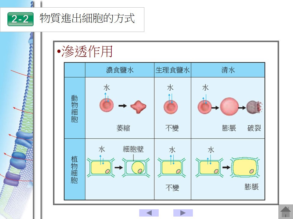 投影片73.JPG