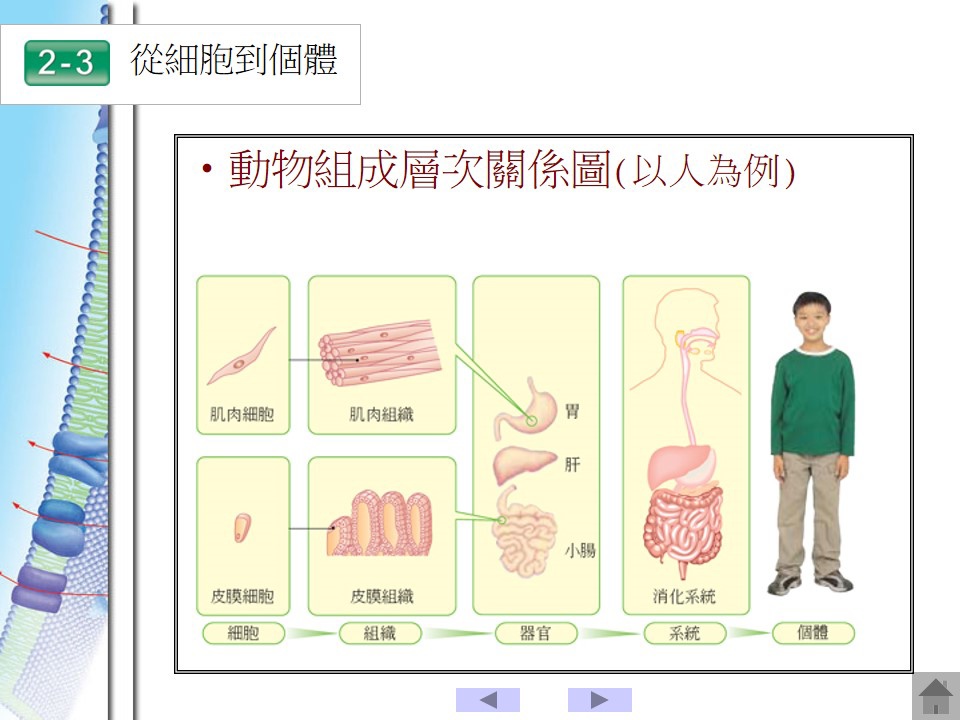 投影片83.JPG