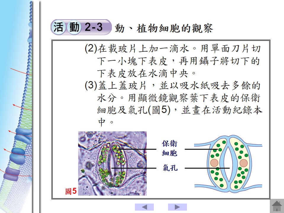 投影片90.JPG