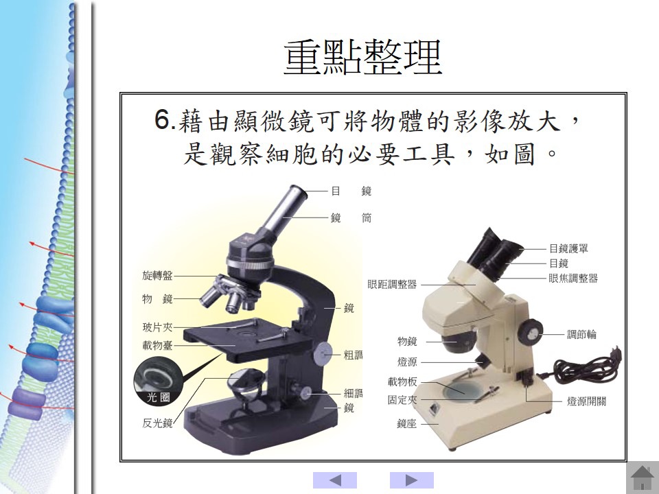 投影片98.JPG