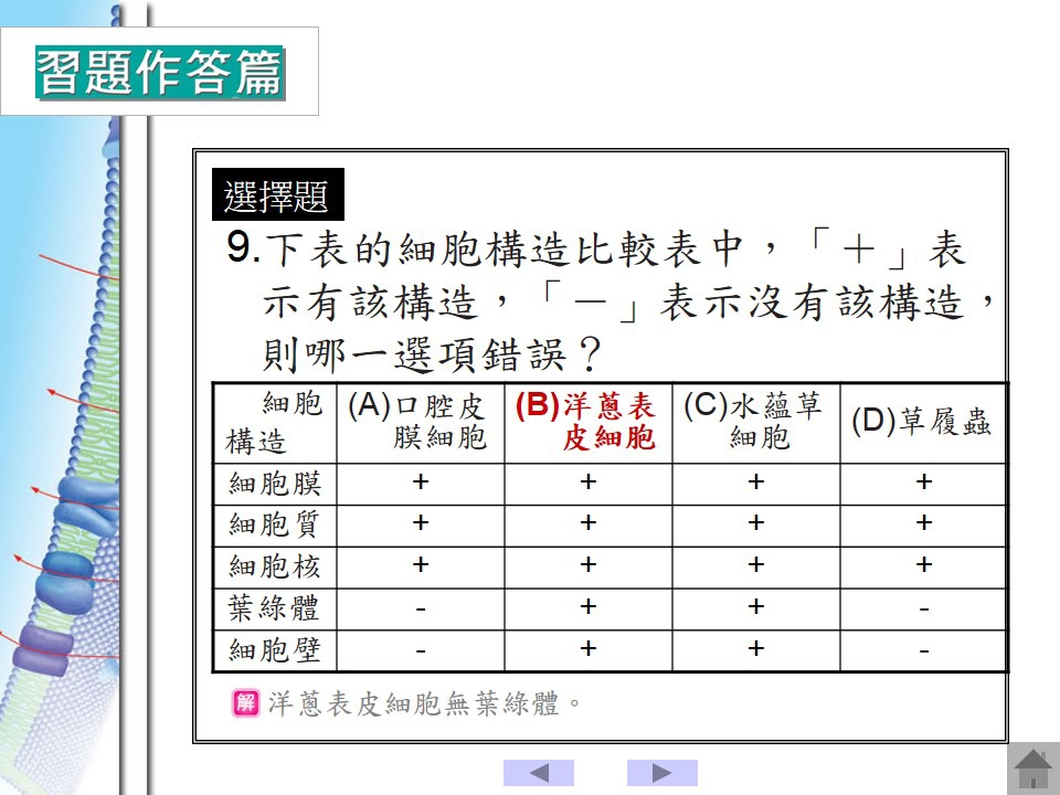 投影片118.JPG