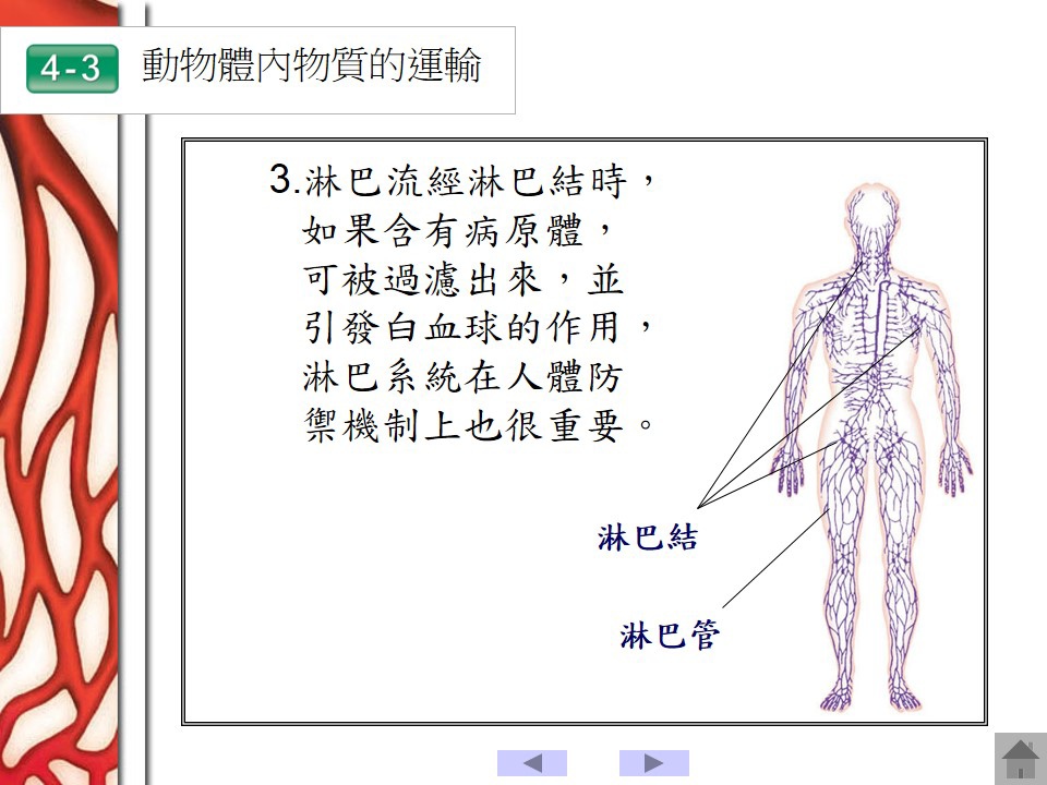 投影片46.JPG