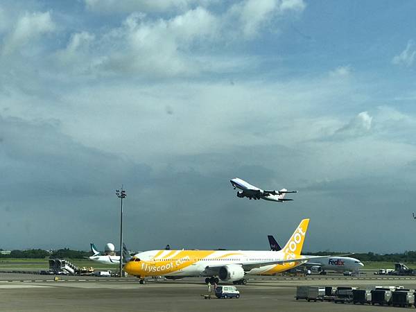 🧳【航空地勤】登機門作業地勤在忙什麼？