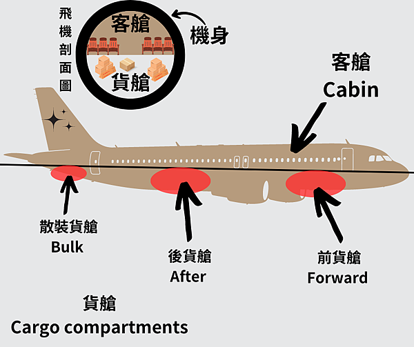 飛機剖面圖