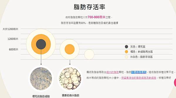 微米粹脂脂肪存活率.jpg