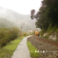 La Belle Vie-Sandiaoling Station三貂嶺車站101128 220.jpg