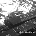 La Belle Vie-Shifen Station-十分車站101128 118