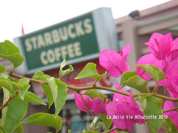 Tainan Re De north Starbucks100418 018