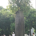 IMG_0540.JPG