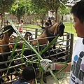 IMG_2003.JPG