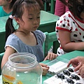 IMG_2012.JPG