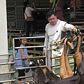 IMG_2002.JPG