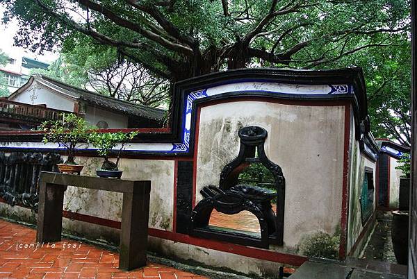 DSC_1443.jpg