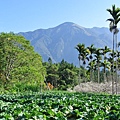 DSC_0123.jpg