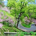 DSC_4459.jpg