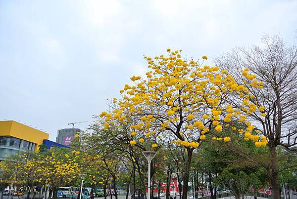 DSC_4805.jpg