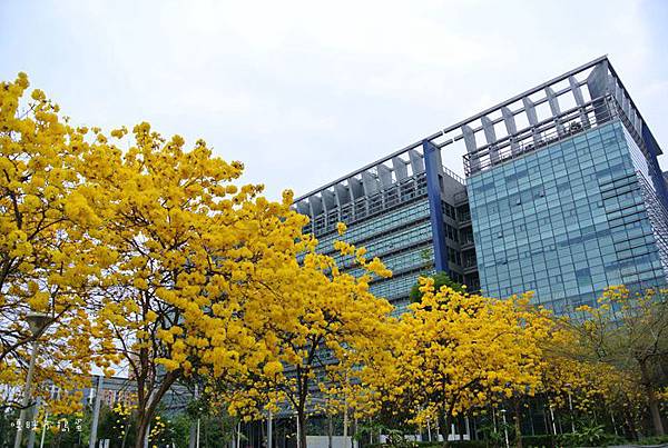DSC_4814.jpg