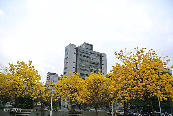 DSC_4846.jpg