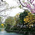 DSC_5070.jpg