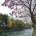 DSC_5076.jpg
