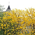 DSC_5081.jpg