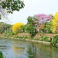 DSC_5129.jpg