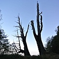 DSC_9045.jpg