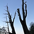 DSC_9046.jpg