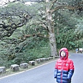 DSC_9083.jpg